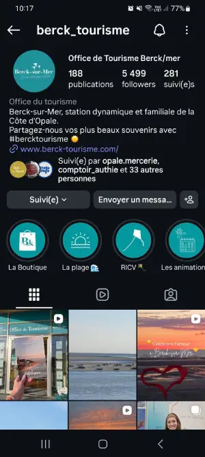 Sous la bio du compte Instagram, les bulles avec les stories à la une