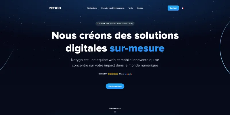 page d'accueil du site web de l'agence Netygo